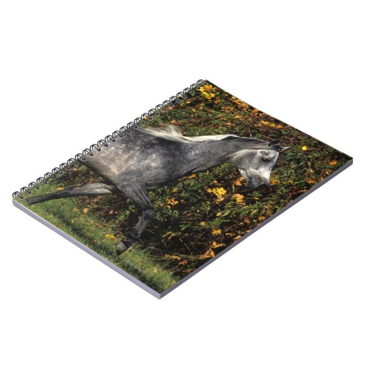 アラビア人の走ること: 秋 ノートブック (左側)