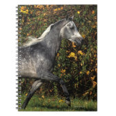 アラビア人の走ること: 秋 ノートブック (正面)