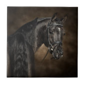 アラビア人 タイル (正面)