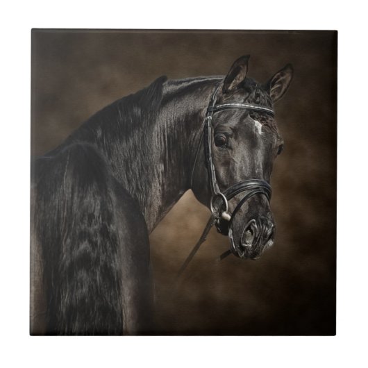 アラビア人 タイル (正面)