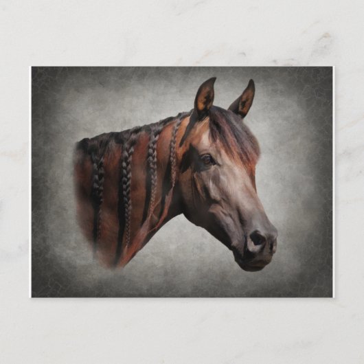 アラビア人 ポストカード (正面)