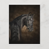 アラビア人 ポストカード (正面)