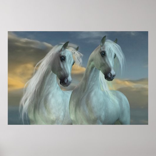 アラビア兄弟 ポスター (正面)