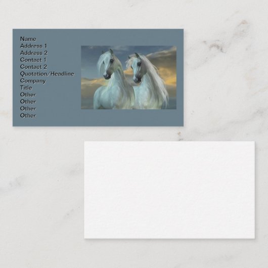 アラビア兄弟 名刺 (正面/裏面)