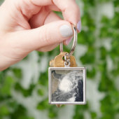 アラビア海の熱帯低気圧帯ゴヌ キーホルダー (手)