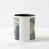 アラビア海の熱帯低気圧帯ゴヌ マグカップ (中央)