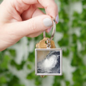 アラビア海の熱帯低気圧相 キーホルダー (手)