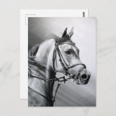 アラビア美しいはがき ポストカード (正面/裏面)