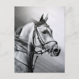 アラビア美しいはがき ポストカード