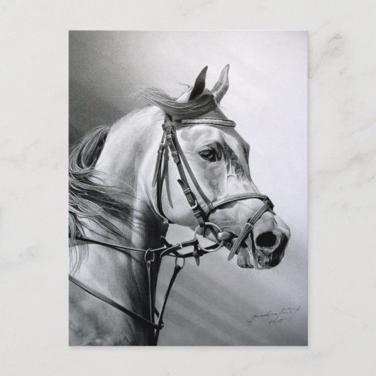 アラビア美しいはがき ポストカード (正面)