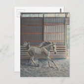 アラビア芸術的語 ポストカード (正面/裏面)