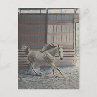 アラビア芸術的語 ポストカード