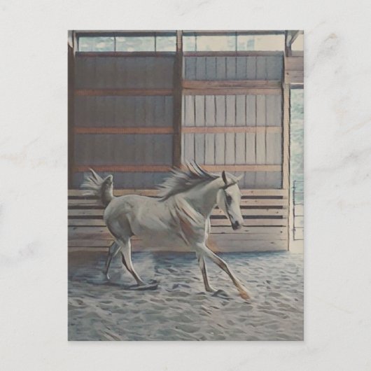 アラビア芸術的語 ポストカード (正面)