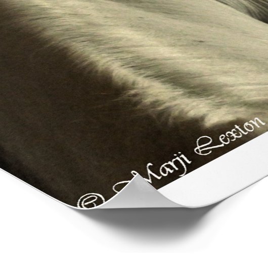 アラビア語 ポスター (角)