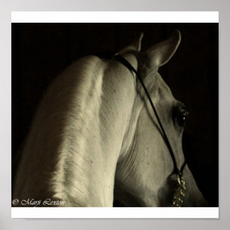 アラビア語 ポスター