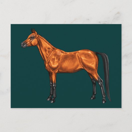 アラビア語 ポストカード (正面)