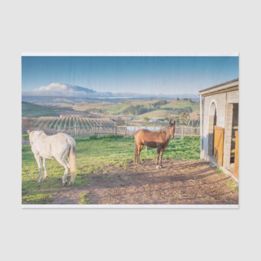 アラビア馬のティッシュペーパー 薄葉紙 (正面)