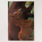 アラビア馬の母親の近く ジグソーパズル (縦)