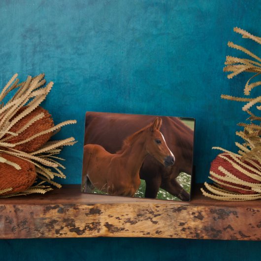 アラビア馬の母親の近く フォトプラーク (側面)