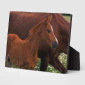 アラビア馬の母親の近く フォトプラーク (側面)