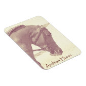 アラビア馬磁石 マグネット (右側)