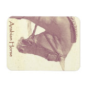 アラビア馬磁石 マグネット (横)