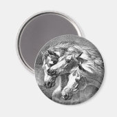 アラビア馬磁石 マグネット (正面/裏面)