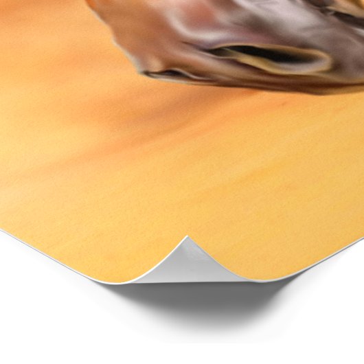 アラビア馬 ポスター (角)