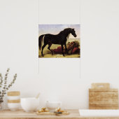 アラビア馬 ポスター (キッチン)