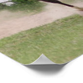 アラビア馬 ポスター (角)