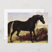 アラビア馬 ポストカード (正面/裏面)