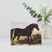 アラビア馬 ポストカード (スタンド正面)