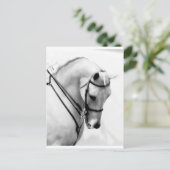 アラビア馬 ポストカード (スタンド正面)