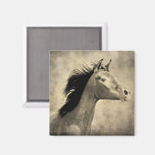 アラビア馬 マグネット (正面/裏面)