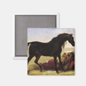 アラビア馬 マグネット (正面/裏面)