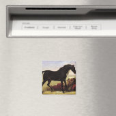 アラビア馬 マグネット (インサイチュ (食洗機))