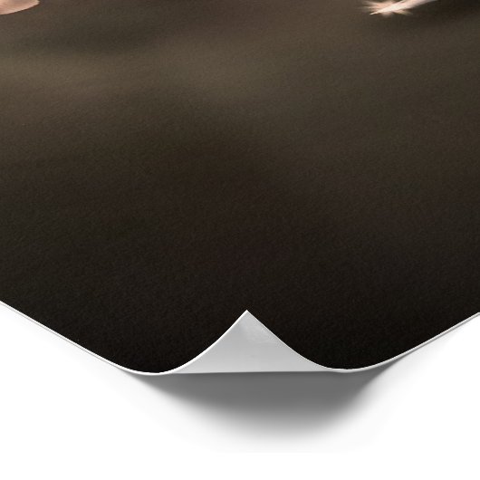 アラビア騎士 ポスター (角)