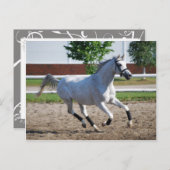 アラビア1 ポストカード (正面/裏面)