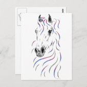 アラビスタイリッシュア馬 ポストカード (正面/裏面)