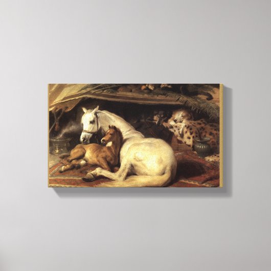 アラブのテント キャンバスプリント (正面)