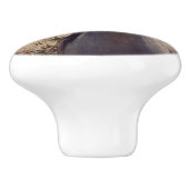 アラブのポニーをスターに。 セラミックノブ (側面)