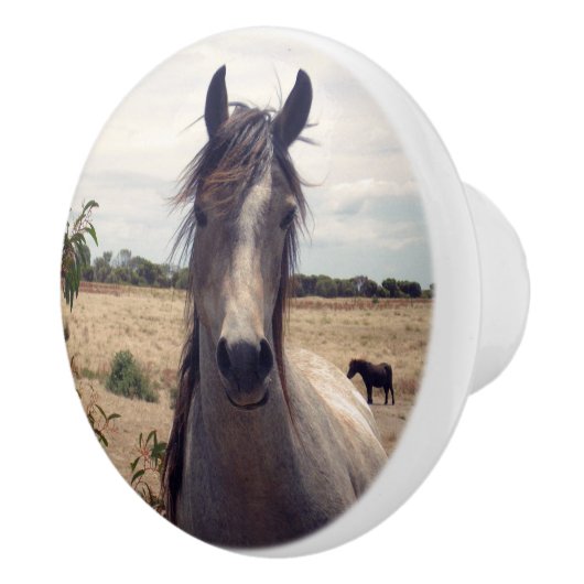 アラブのポニーをスターに。 セラミックノブ (右)