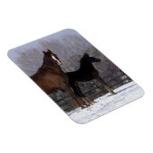 アラブのマーレ&フォールの雪 マグネット (右側)