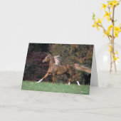 アラブスタリオンランニングの流れるマネと尾 カード (黄色い花)