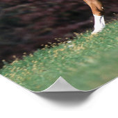 アラブスタリオンランニングの流れるマネと尾 ポスター (角)