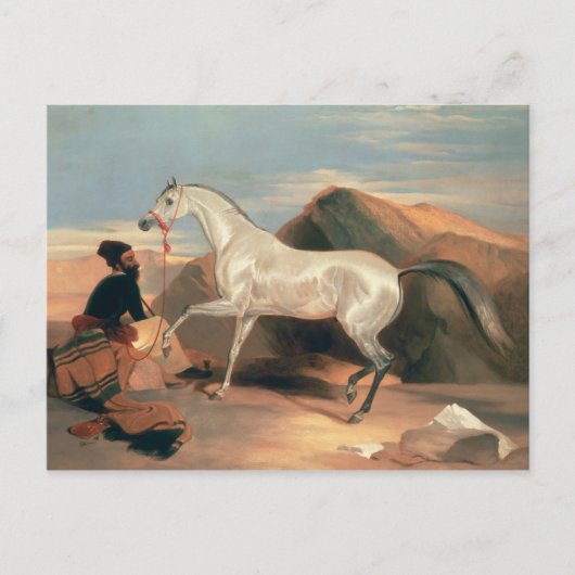 アラブスタリオン ポストカード (正面)
