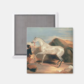 アラブスタリオン マグネット (正面/裏面)