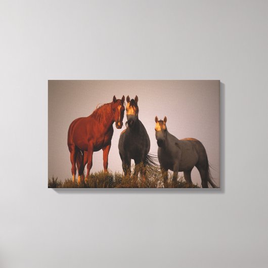 アラブズアットサンセット キャンバスプリント (正面)