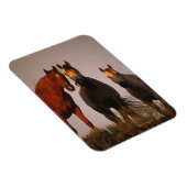 アラブズアットサンセット マグネット (右側)