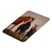 アラブズアットサンセット マグネット (左側)